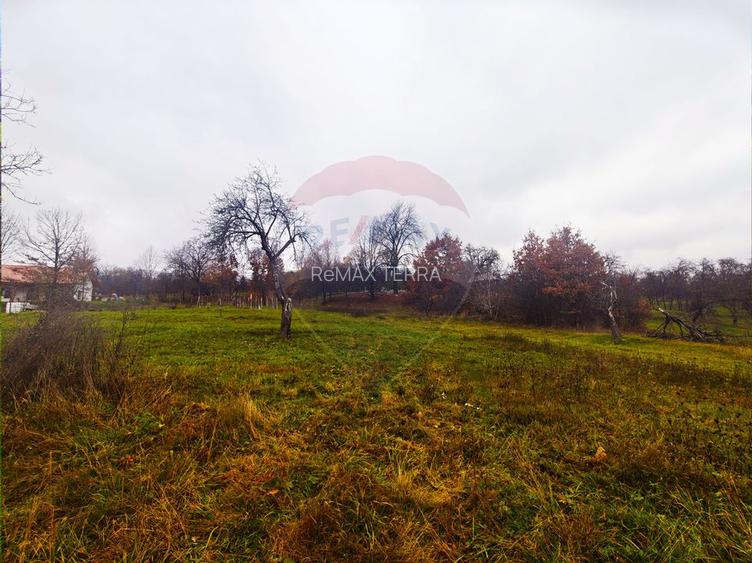 Teren de vânzare Unguraș cu priveliște si anexe - 7