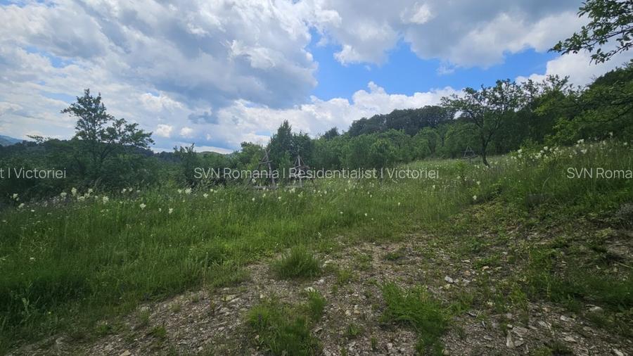 REL4001143 Teren de vanzare in Valea Doftanei - 4