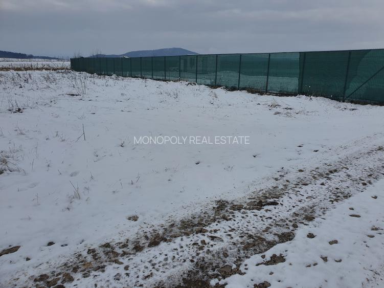 Teren Bod sat zona Dacia plant - 5