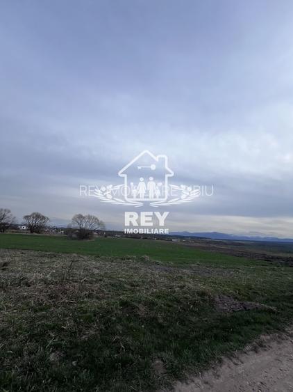 Teren intrevilan de vânzare Turnișor - 3