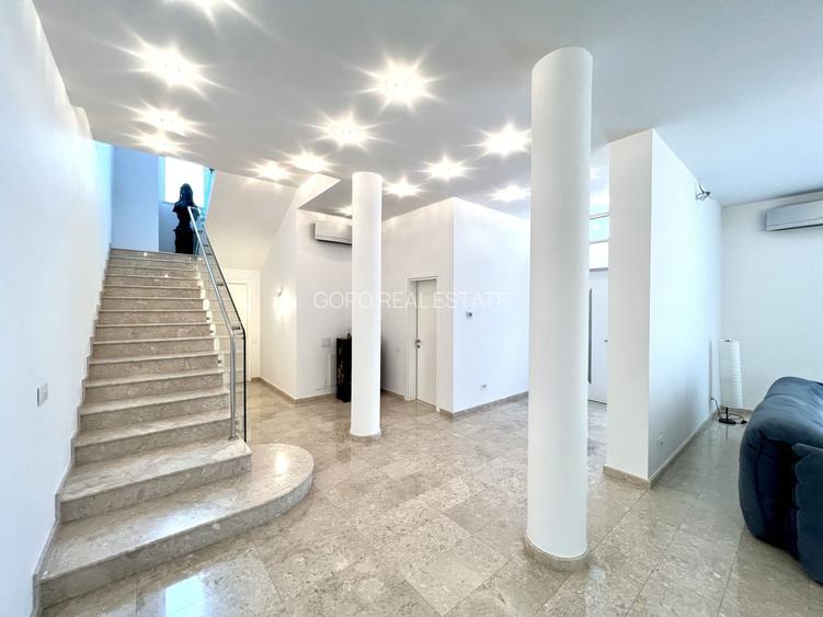 Proprietate deosebita suprafete generoase 580 mp teren 2076 mp - 9