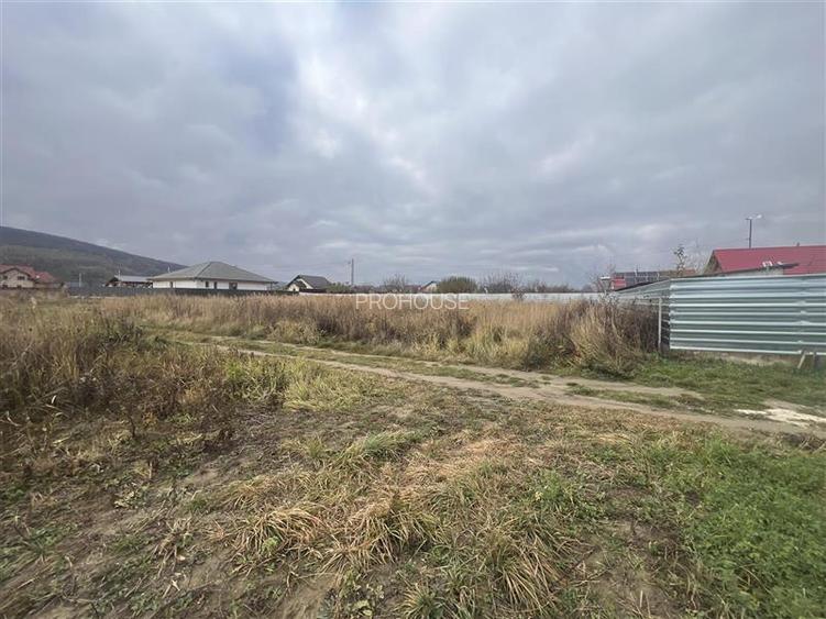 Hemeius- teren 500 mp- 18 ml deschidere! - 3