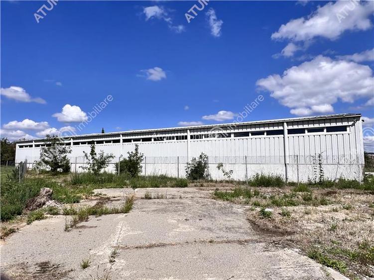 Hala de 918 mp utili si teren de 2400 mp cu acces de tir in Talmaciu - 9