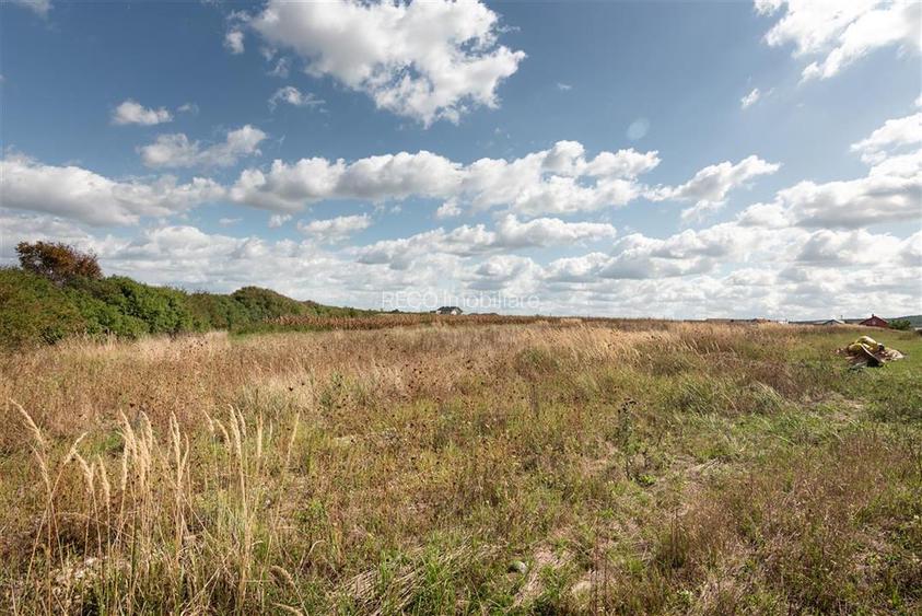 Teren intravilan in Rontau - 6