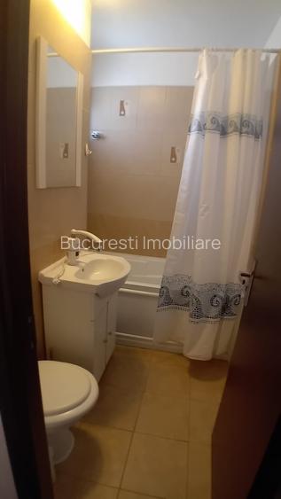 Apartament 2 Camere,Piata Victoriei,Amenajat,mobilat,utilat,complet - 19