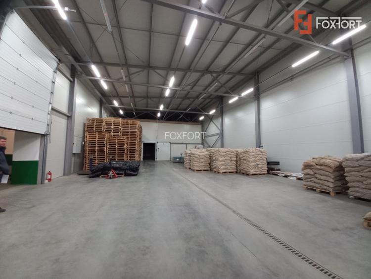 Hala industriala 572 mp, teren 1.615 mp - Zona Sud Timisoara - 5