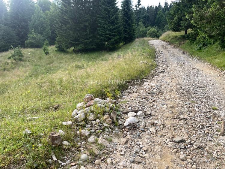 Teren intravilan dezvoltare turistica Hoteluri/Pensiuni S+P+2E+M - 5