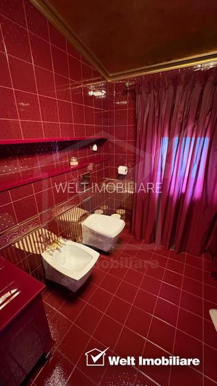 Vila superba in Andrei Muresanu, dotari de lux, piscina si SPA, 865 mp teren ! - 24