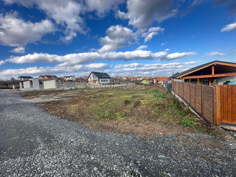 TEREN INTRAVILAN PREMIUM 2.000 MP LA DRUM JUDETEAN | DAIA - 3