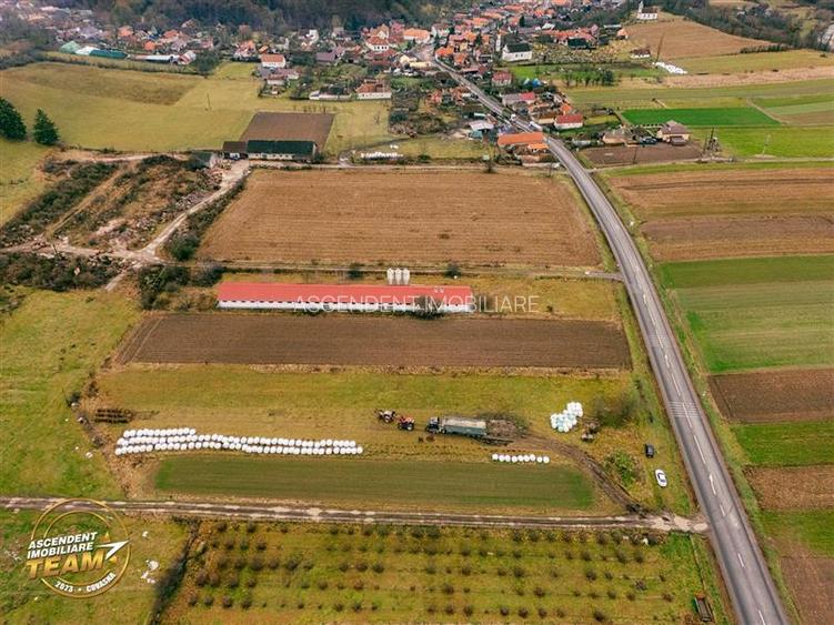 FILM! Ferma de iepuri,Malnas,Covasna: domeniu:industrial/comercial,asset UE - 23