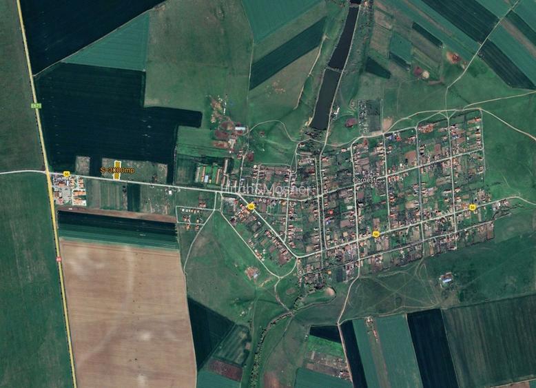 Teren in suprafata 3.000 mp Cornesti - 2