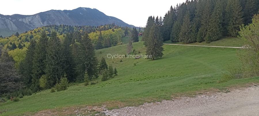 Se vinde teren 900 mp/25 ml toate utilitatile, Predeal laga Cabana Trei Brazi - 12