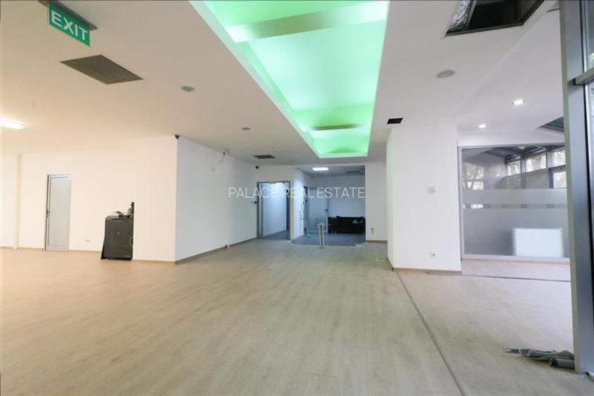 Spatiu Comercial Nicolina 330 mp - 3