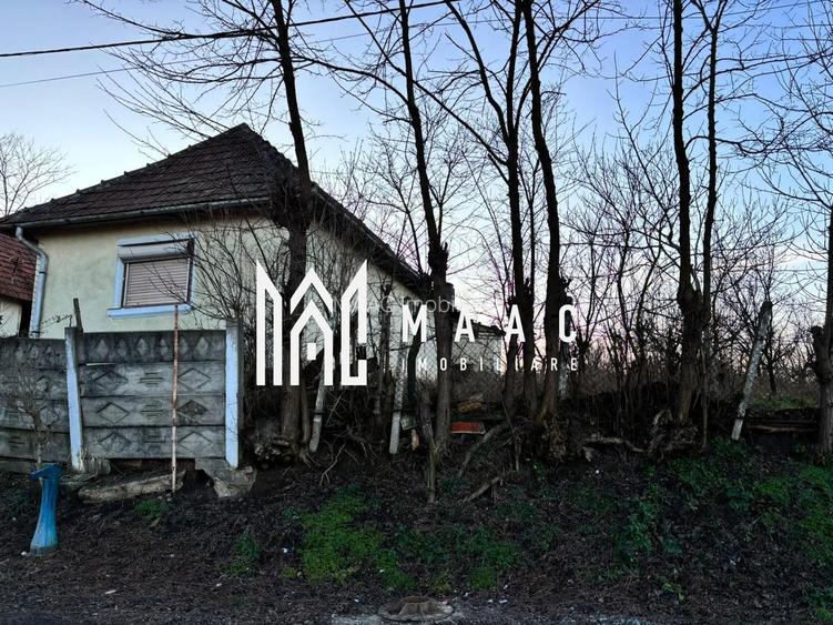 Casa 4 camere | 40 MPU | Curte 1.151MP | Teren 2.359 MP | Alba Iulia | Ohaba - 6