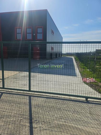 VÂNZARE HALĂ  - ȘOSEAUA DE CENTURĂ SUD - 4