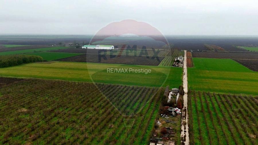 Ferma agro-industrială – 43 ha Adunații Copaceni - 8