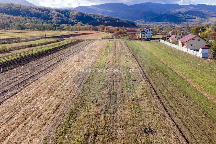 Teren extravilan Petros /  Baru ,jud Hunedoara - 2