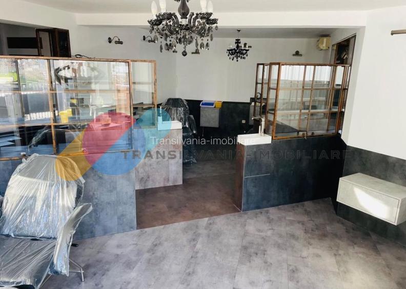 Spatiu Comercial sau Birouri 165 mp, zona Platinia - 2