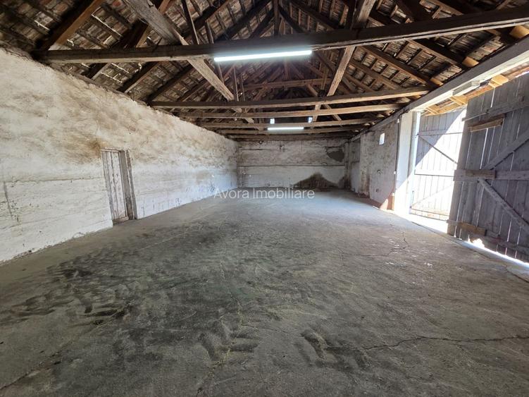 Dudestii Noi, Hala, Disponibila imediat - 14