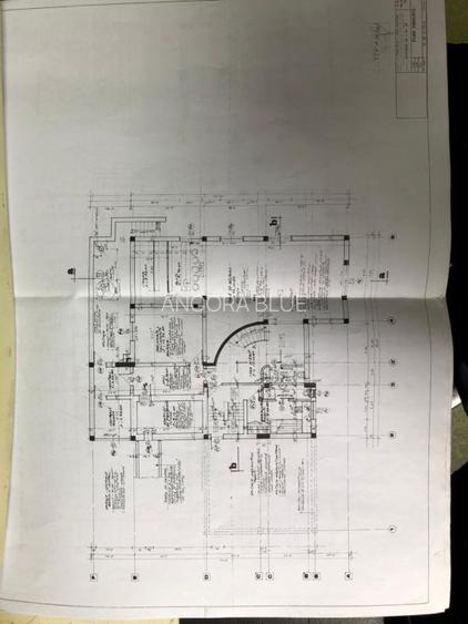 Vila superba in Padurea Baneasa, curte 5000 mp, piscina exterioara - 3