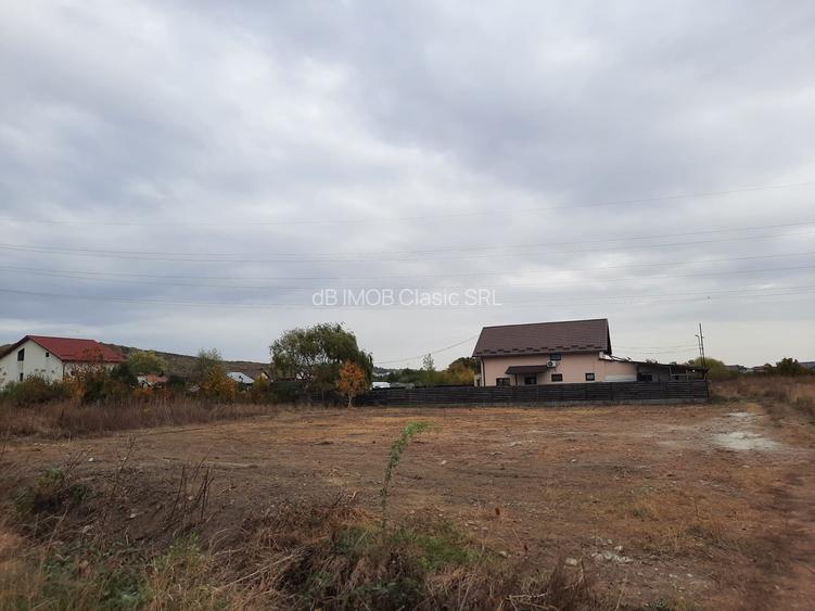 Teren intravilan, sat Viforata - 2