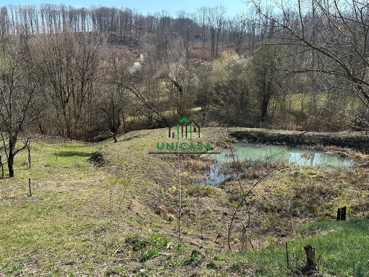 Teren Govora / 8131mp - 5