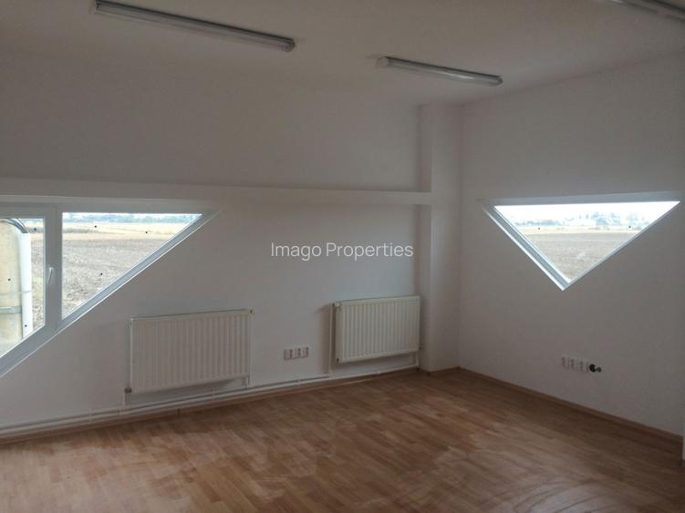 Teren intravilan Balotesti / Saftica - 9