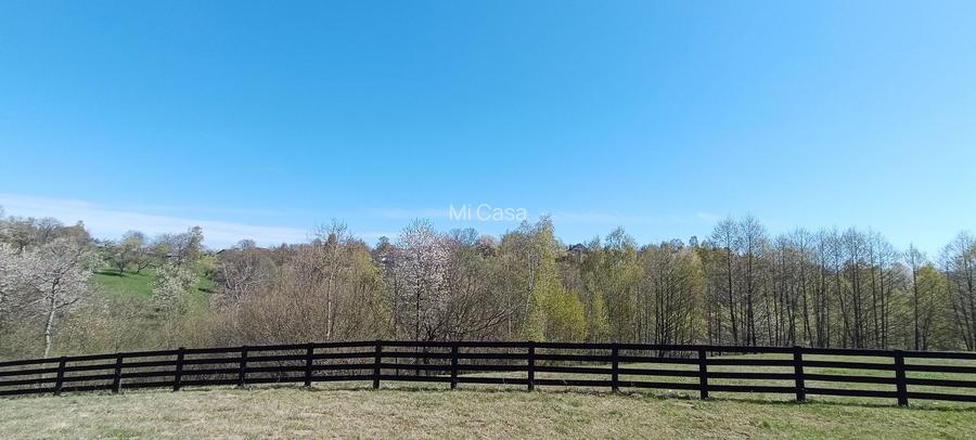 Teren intravilan cu priveliste frumoasa-Predelut - 4