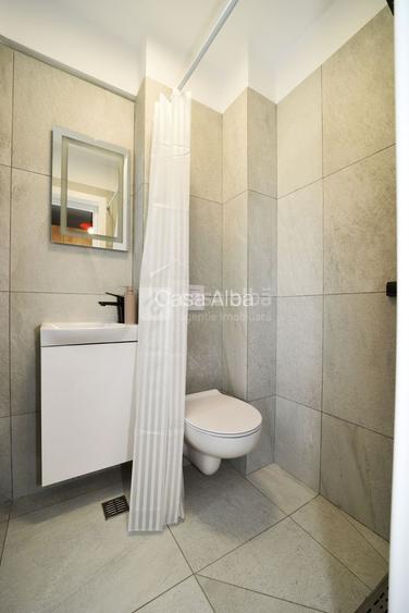 Popas Pacurari - duplex modern de inchiriat, P+E, terasa, garaj - 9