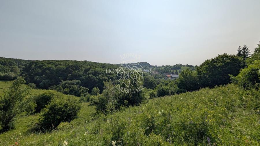 Teren extravilan 1930 mp,  5 min de centru, ideal Cabana, invetitie - 2