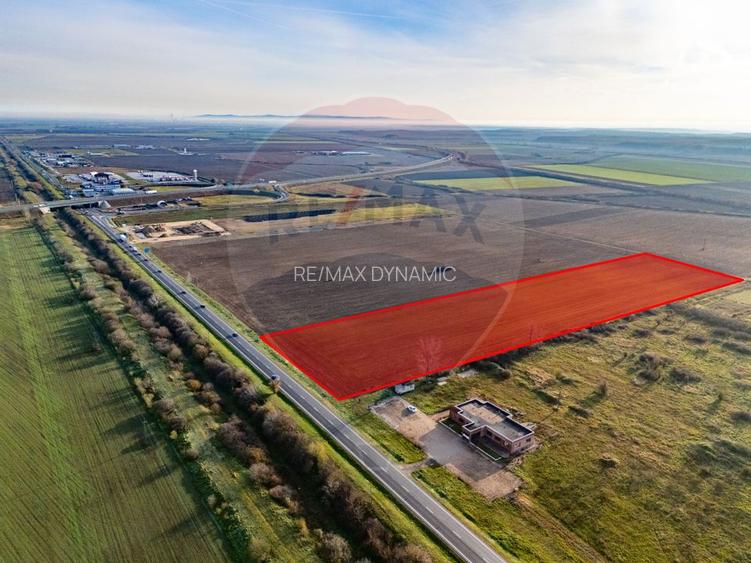 Teren 29220 mp Pecica,DN7, langa autostrada- Ideal pentru afaceri - 2