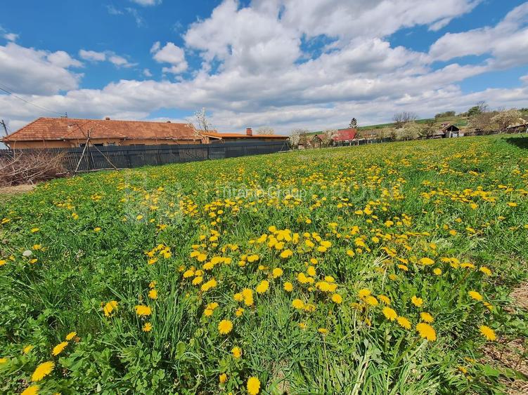 Teren de 1451 mp cu utilitati -  Haghig, jud. Covasna - 4