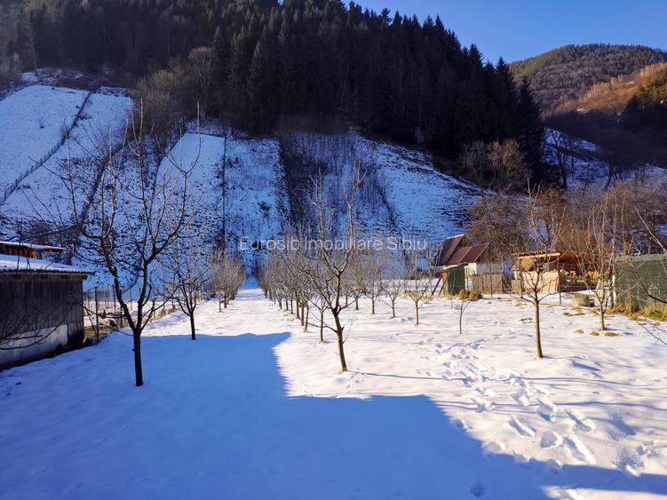 Teren intravilan cu 2 case traditionale in Sibiu Rau Sadului - 3