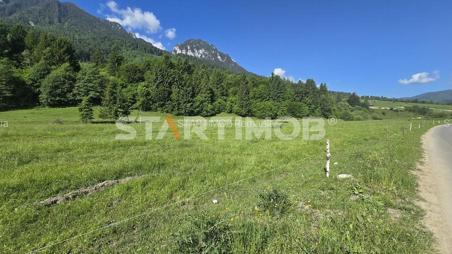 Teren intravilan Zarnesti Plaiul Foii - 11