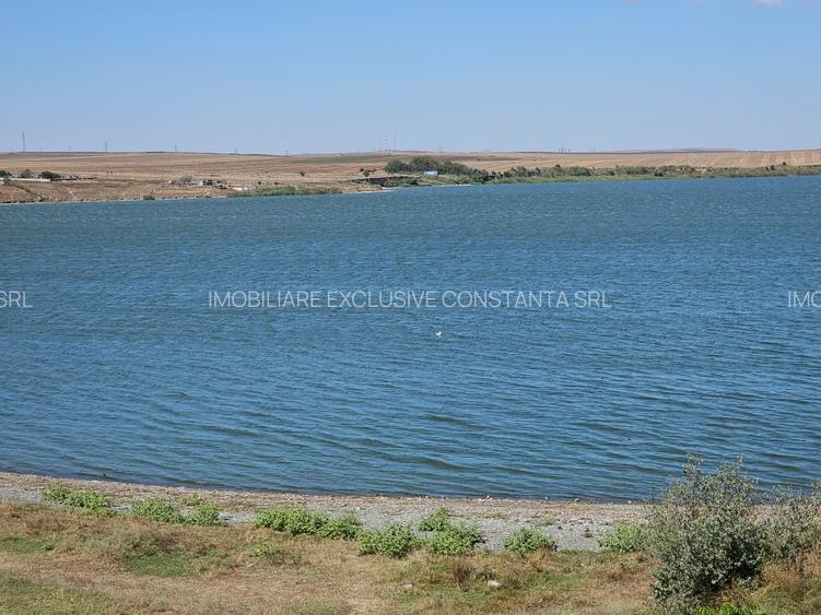 Teren Extravilan 10000 Mp Sibioara Constanta - 16