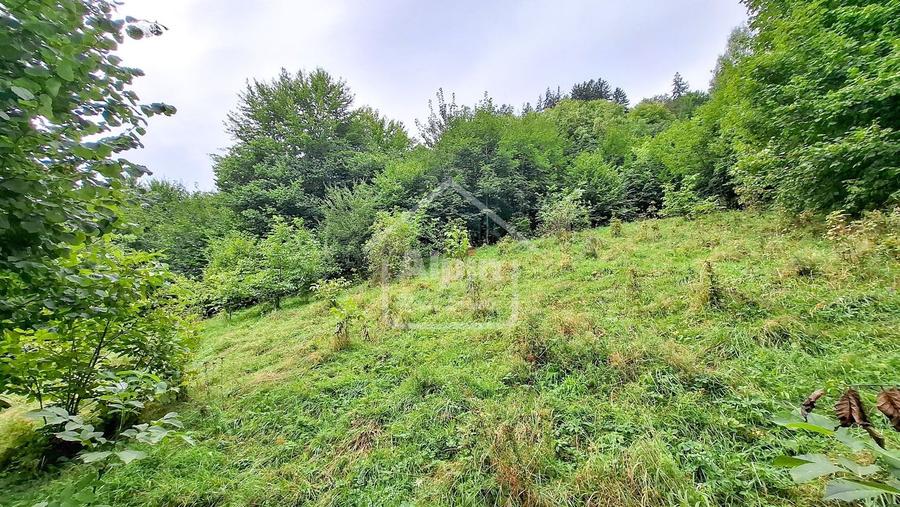 Teren Intravilan Schei Priveliste I Oportunitate Investitie