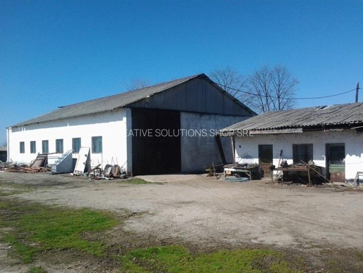 Teren intravilan Mogosesti | Giurgiu | 370.000mp | Adunatii Copaceni - 13