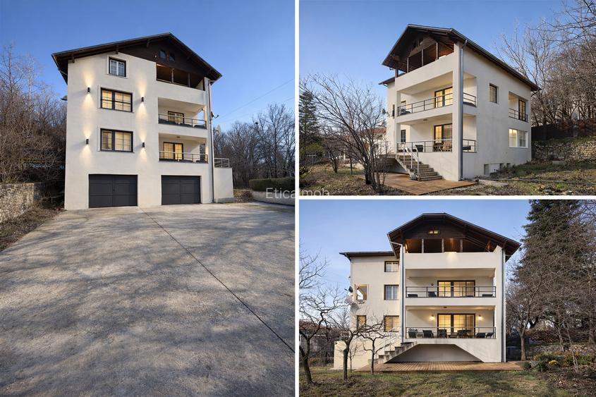 Descoperă o noua proprietate de excepție + teren suplimentar – Valea Voievozilor - 4