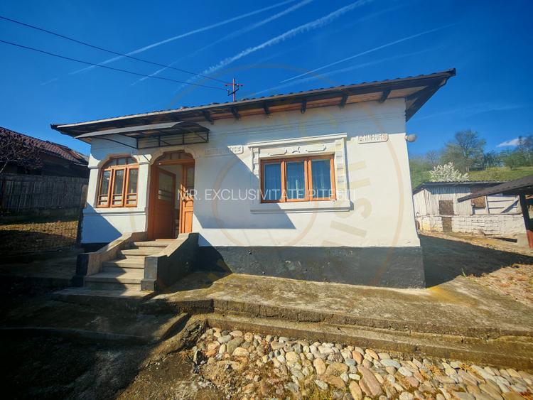 Casa + teren 3233 mp Darmanești Arges - 10