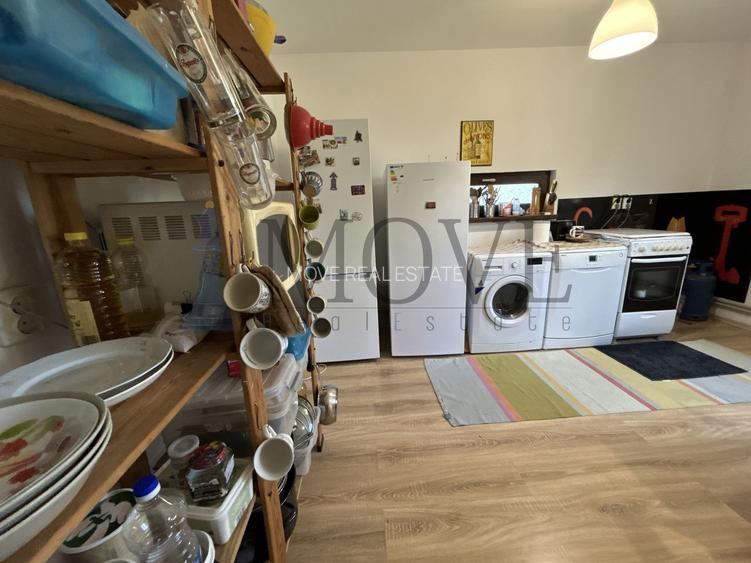 BELCIUGATELE- Casă de vacanță sau locuință permanentă - 16