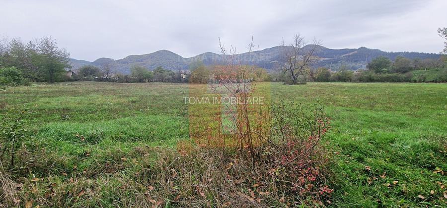 Teren intravilan de vânzare – 1.350 mp – Comuna Alexandru cel Bun - 7