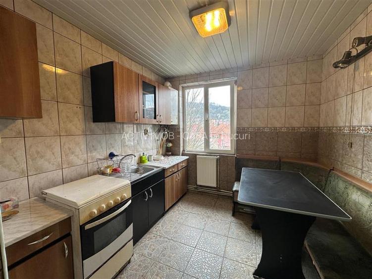 Resita, Apt. 3 cam.cf.1, semidec, Lunca - 17