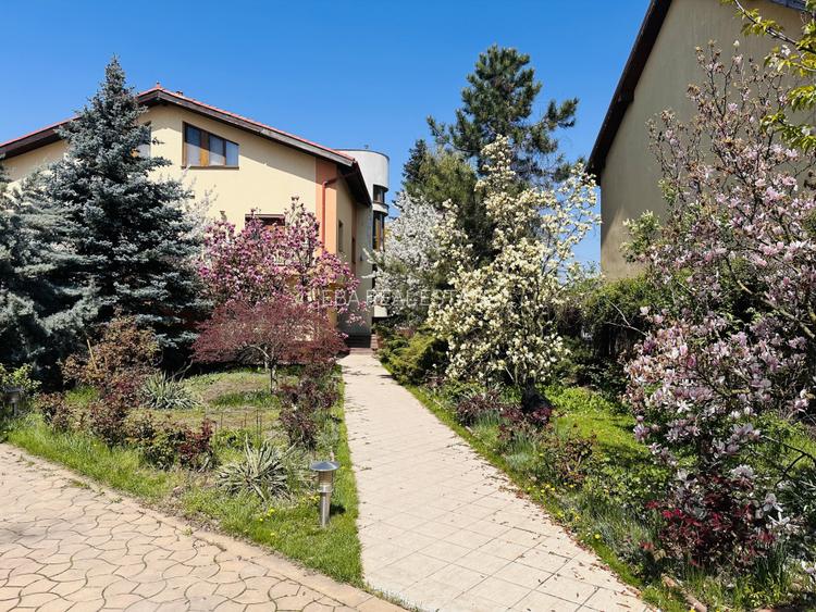 Resedinta emblematica in Chiajna-Rosu pe malul lacului, 785 mp, 2500 mp teren - 4