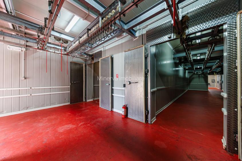 Hala depozitare, Dumbravița Timis, 1285 mp, Farma GDP Medical Cosmetice 6000 Eur - 6