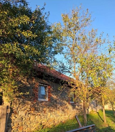 Casa Goruia cu teren,gradina,livada de pruni si pădure  - 8