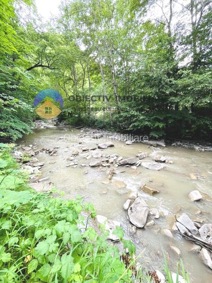 TEREN intravilan   8.000 mp TARCAU - 9