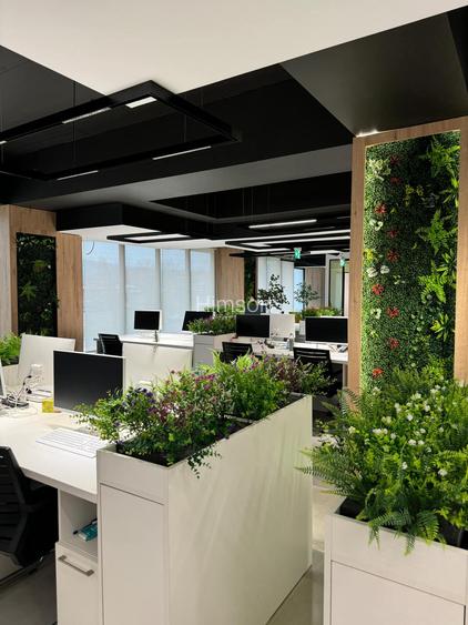 Birou modern de inchiriat in Complexul HIMSON - 4