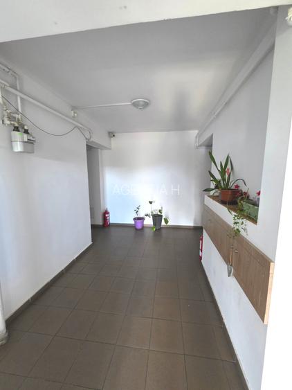 2 camere Aleea Mizil bloc 2017 etaj 2/3 centrala proprie si loc parcare - 38