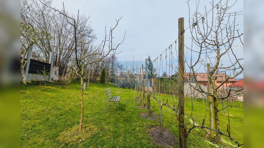 Casa cu 867mp de teren in Andrei Muresanu - 18