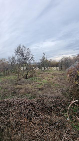 Gospodarie in com. Budesti - 2